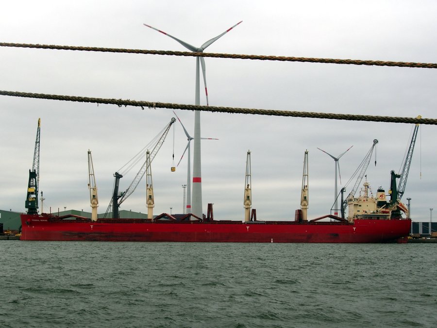 Ship Expected: FEDERAL BERING       for Glasgow Riverside Quay 