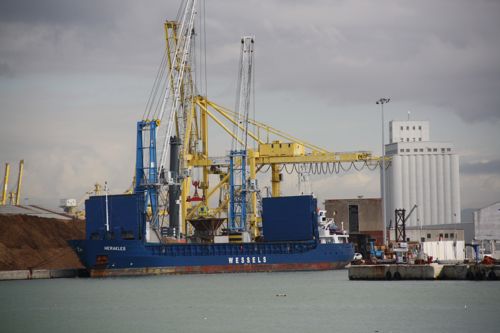 Ship Expected: WILSON DUBLIN        for Ayr 