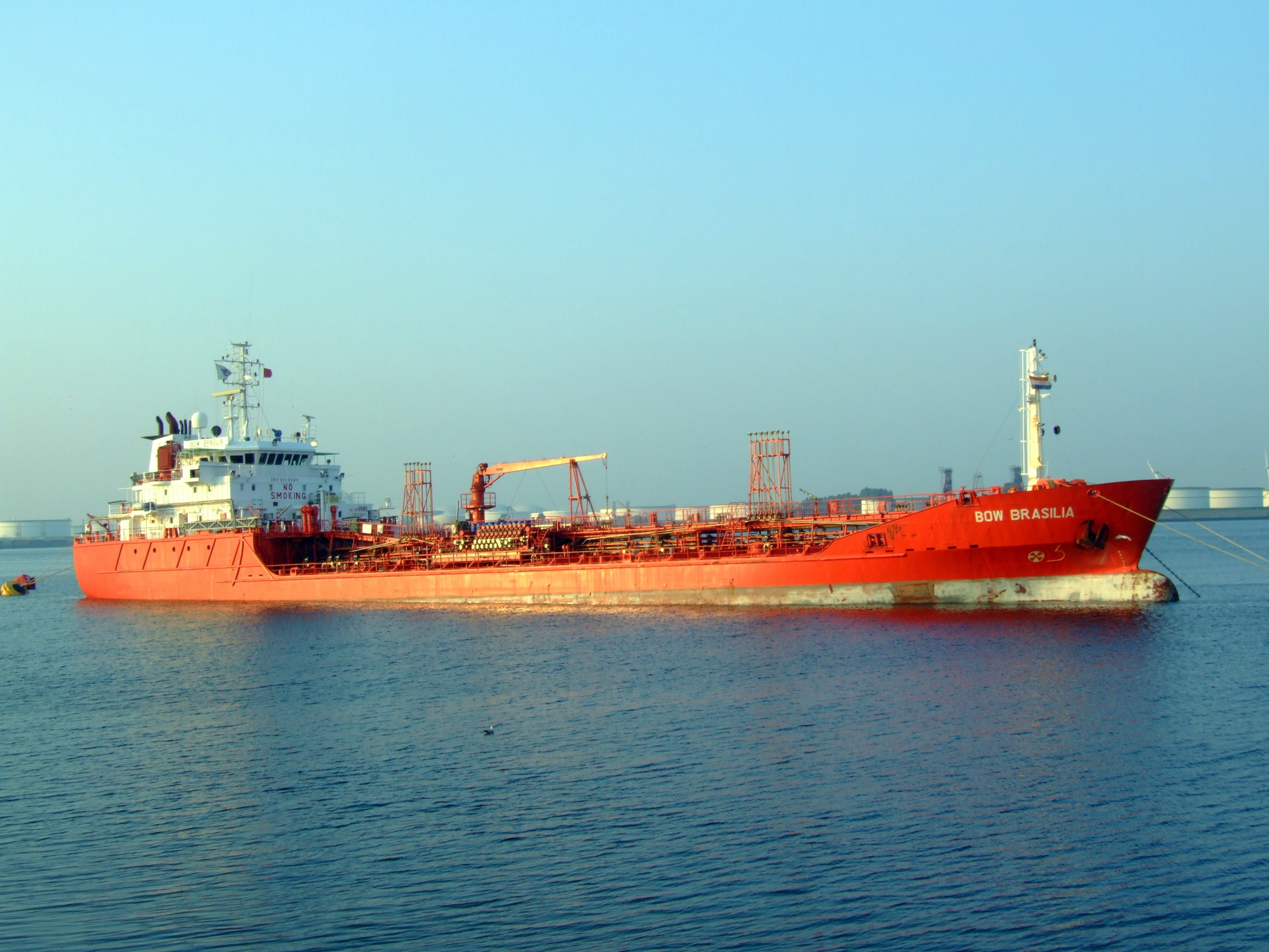 Mersey Departure: STOLT SEAGULL       