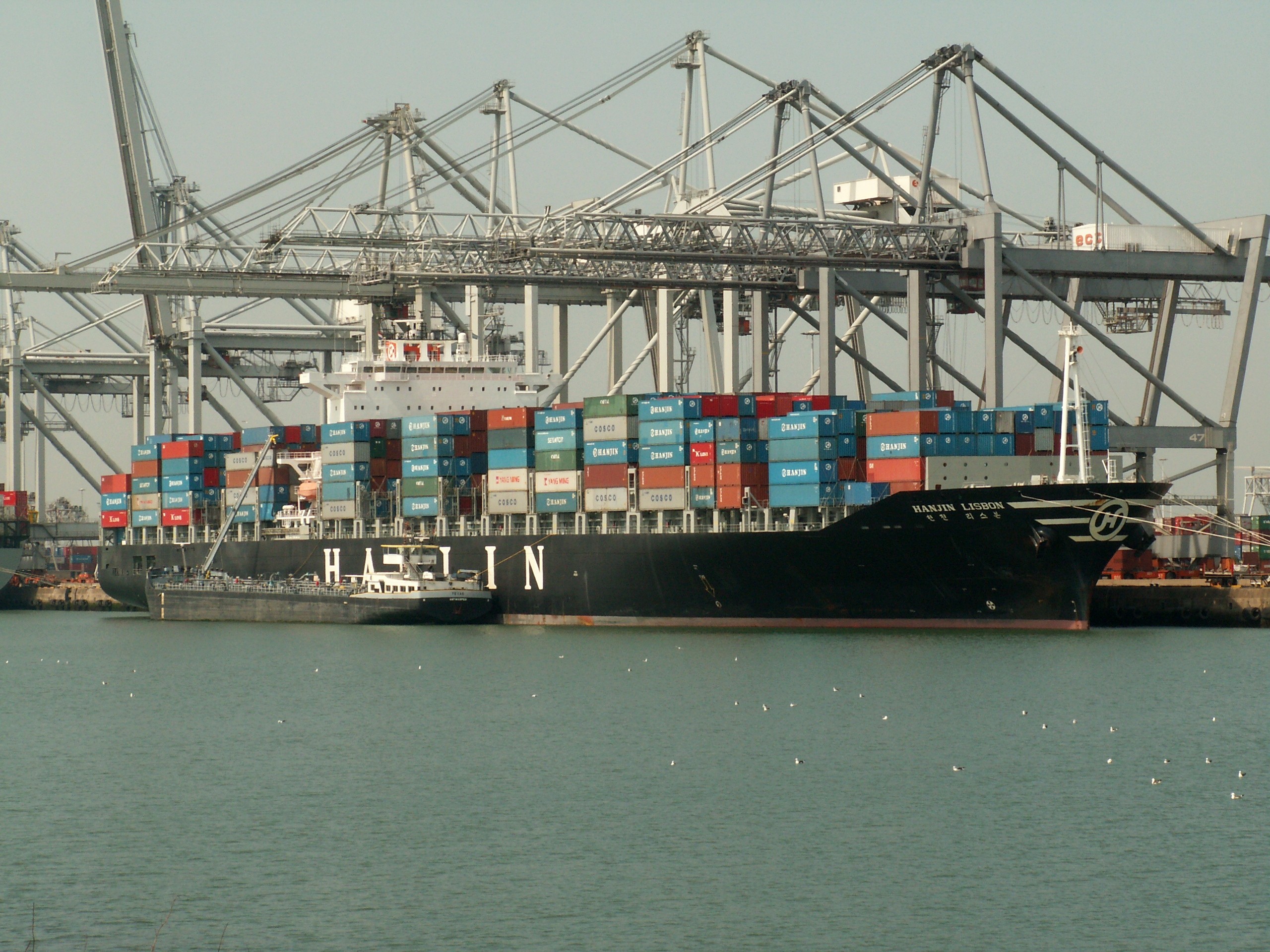  Irish Sea - MSC PILAR VI         transiting St Georges Channel