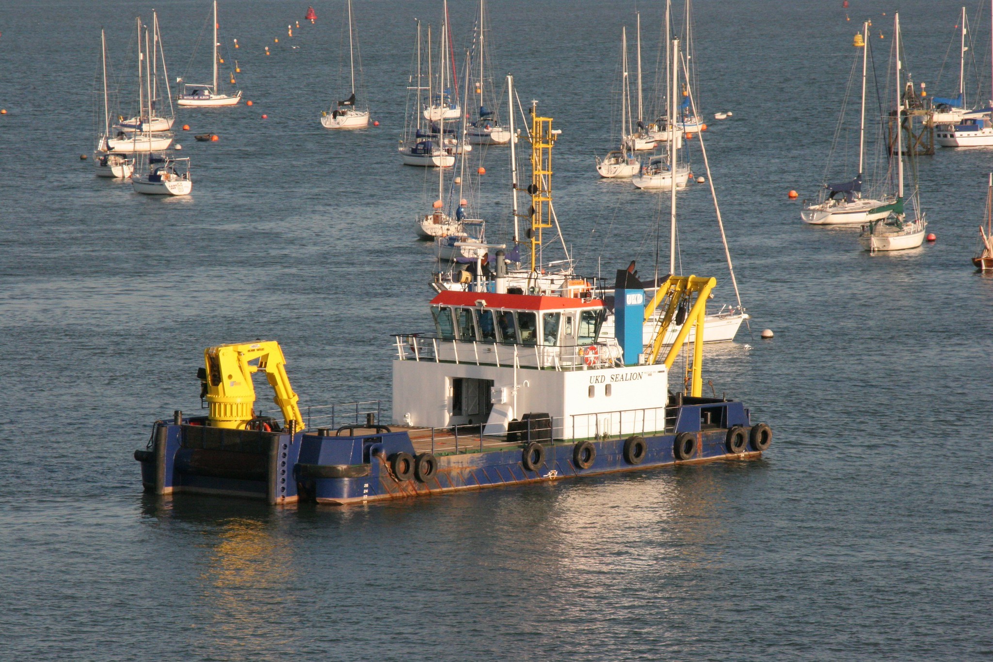 Bristol Channel Arrival: UKD SEALION         