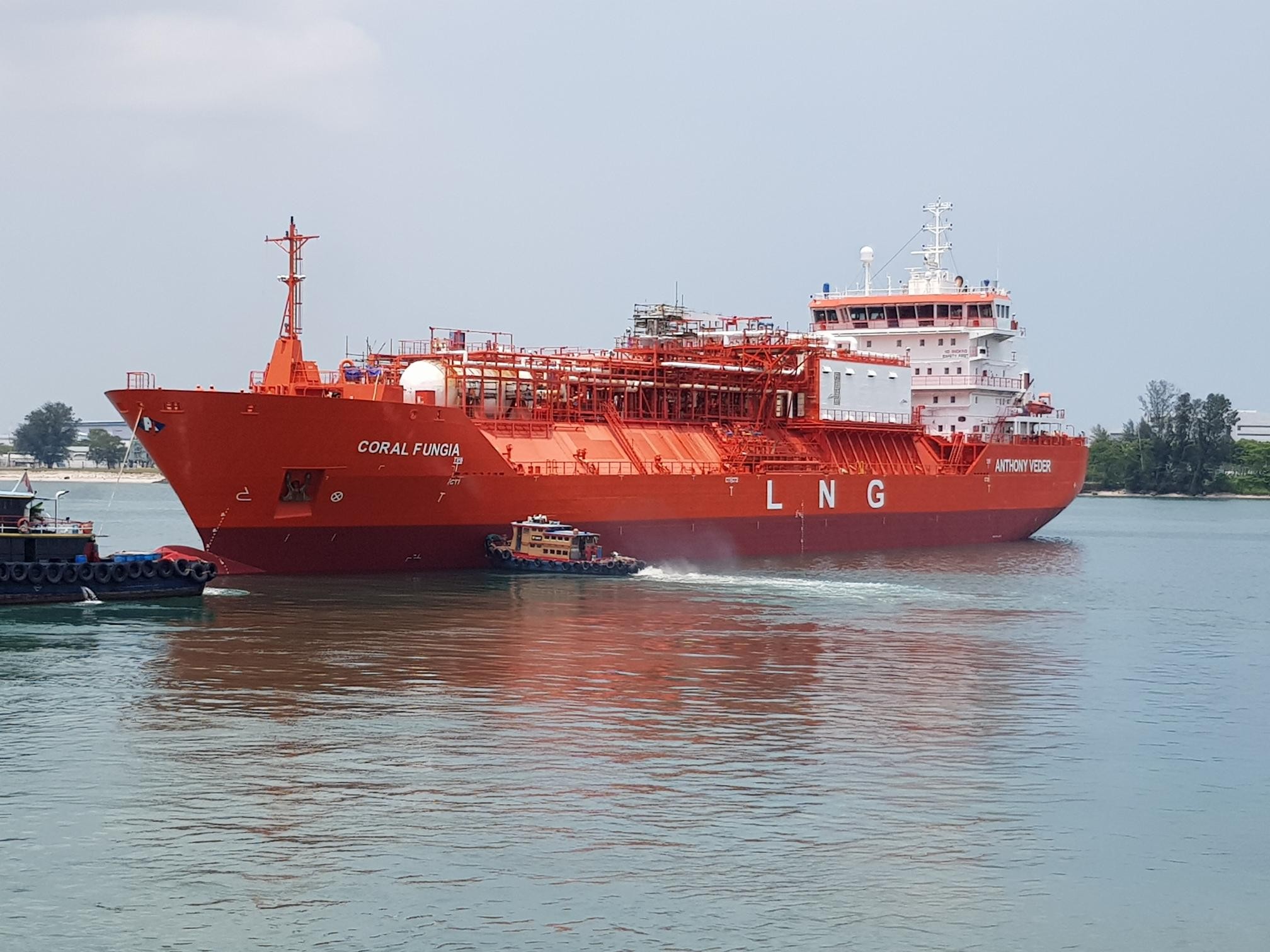 Transit: CORAL FUNGIA         entering English South Coast at The Dover Strait