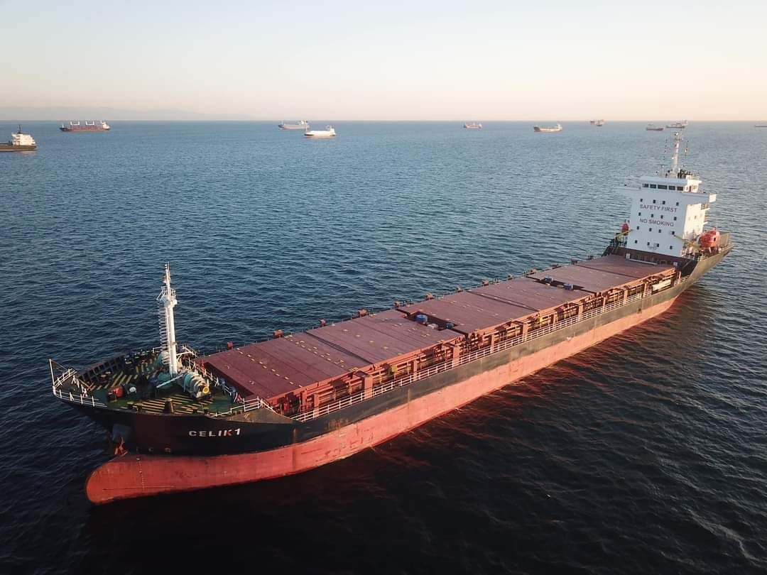 Bristol Channel Arrival: CELIK 1             