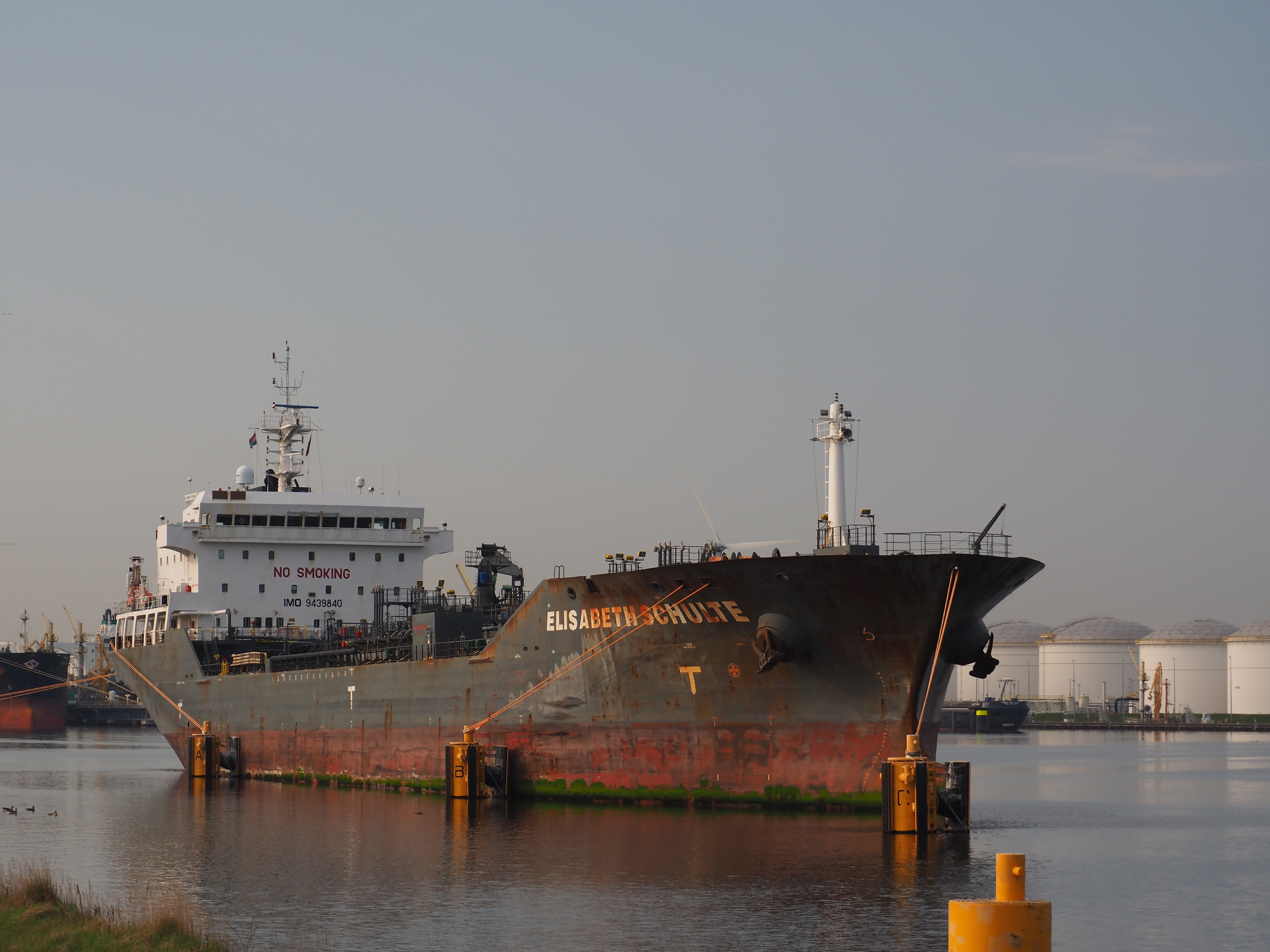  Scottish East Coast - ELISABETH SCHULTE    transiting Berwick Coast