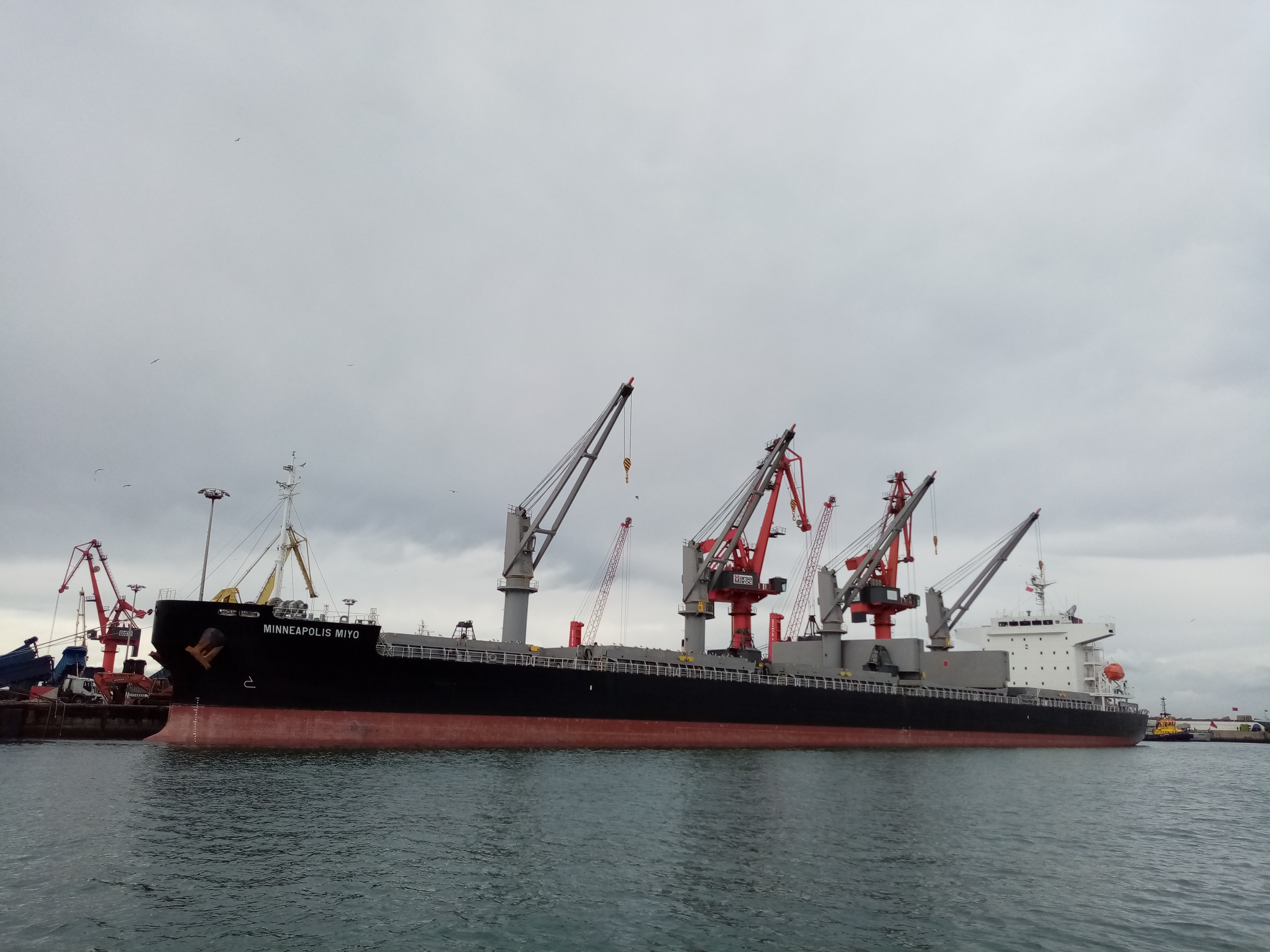  Scottish West Coast - MINNEAPOLIS MIYO     transiting North Channel at Belfast