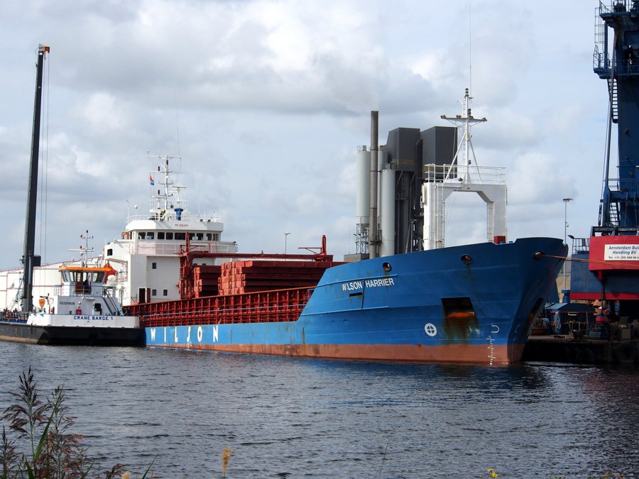  Scottish East Coast - WILSON HARRIER       transiting Aberdeenshire Coast