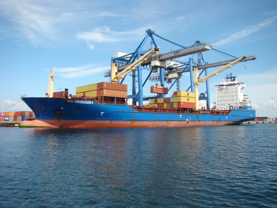 Photo of MSC SUEDEROOG F