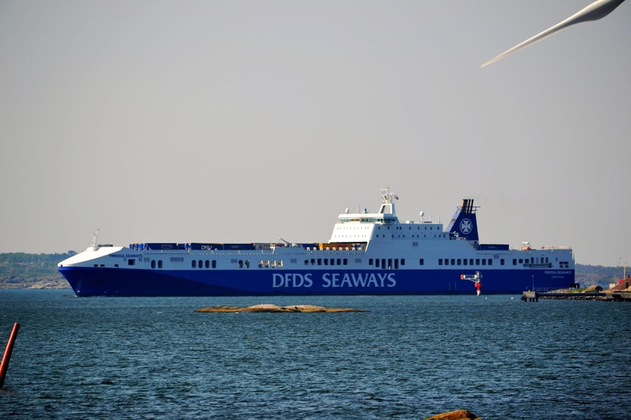 Humber Arrival: FREESIA SEAWAYS