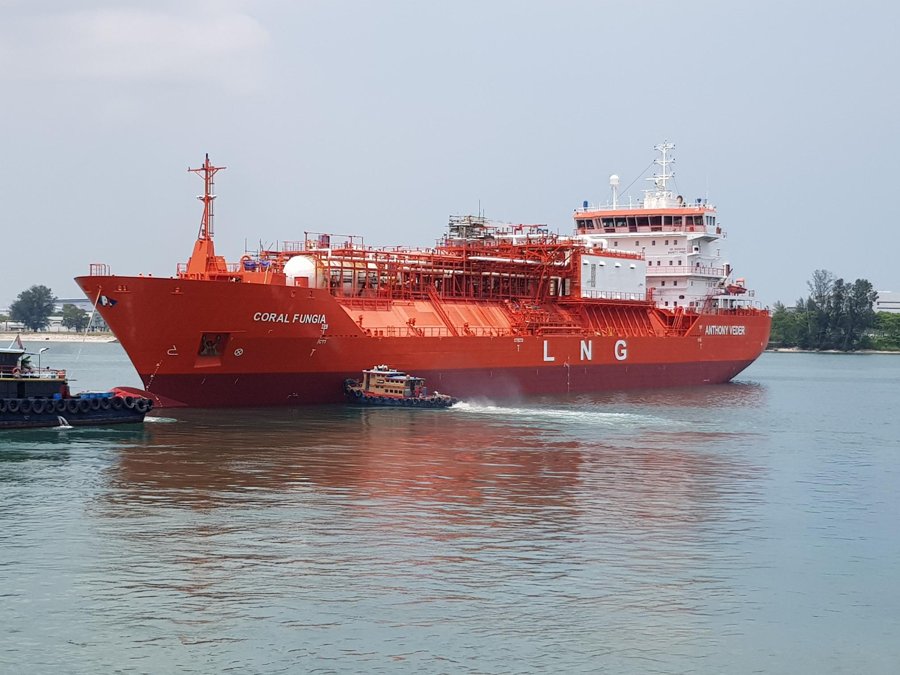 Transit: CORAL FUNGIA         entering English South Coast at The Dover Strait