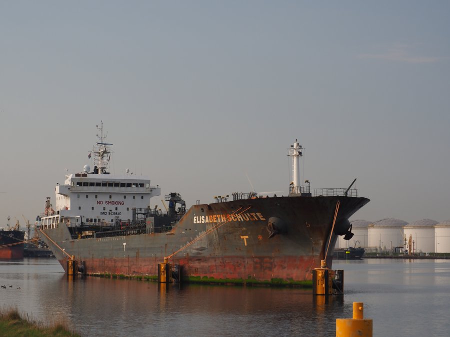  Scottish East Coast - ELISABETH SCHULTE    transiting Berwick Coast