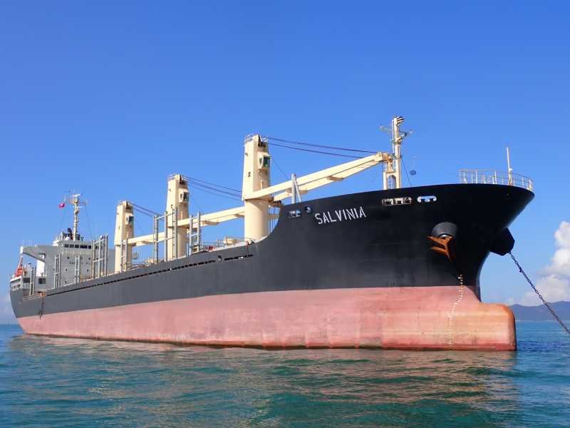 Photograph of the Bulk Carrier: SALVINIA             (IMO: 9524815). Documented in UK and Regional Shipping Movements.