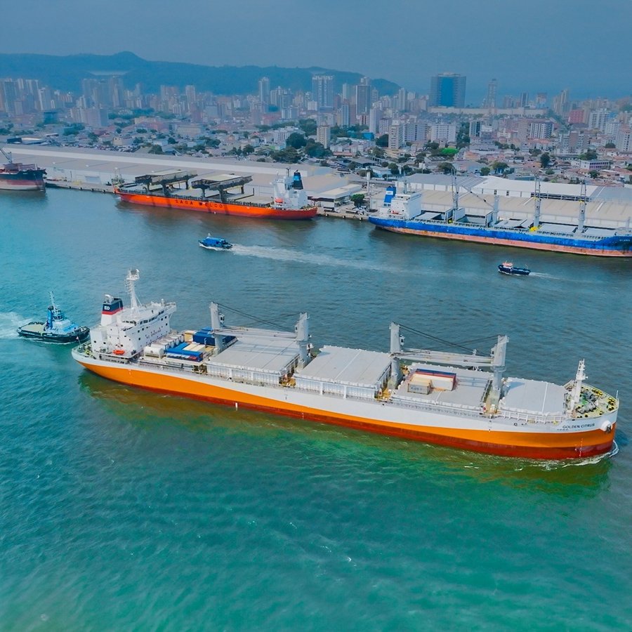 Photograph of the Fruit juice carrier- refrigerated: GOLDEN CITRUS        (IMO: 9663740). Documented in UK and Regional Shipping Movements.