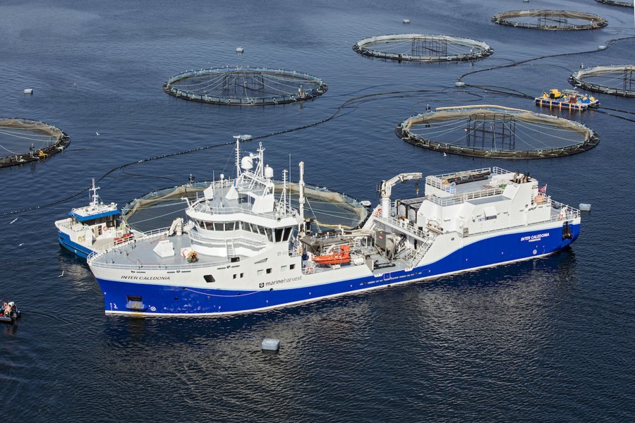  Scottish East Coast - INTER CALEDONIA      transiting John O'Groats Approach