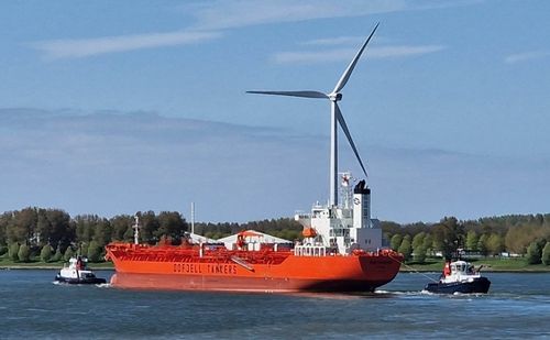 Photo of BOW PANTHER         